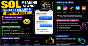 SOL meaning Slang