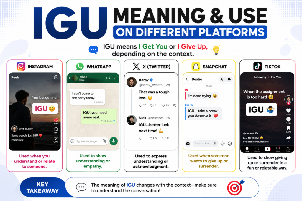 IGU Meaning
