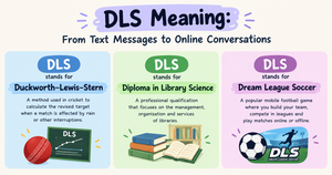 DLS Meaning