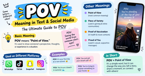 POV Meaning